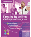 France Prospect V400